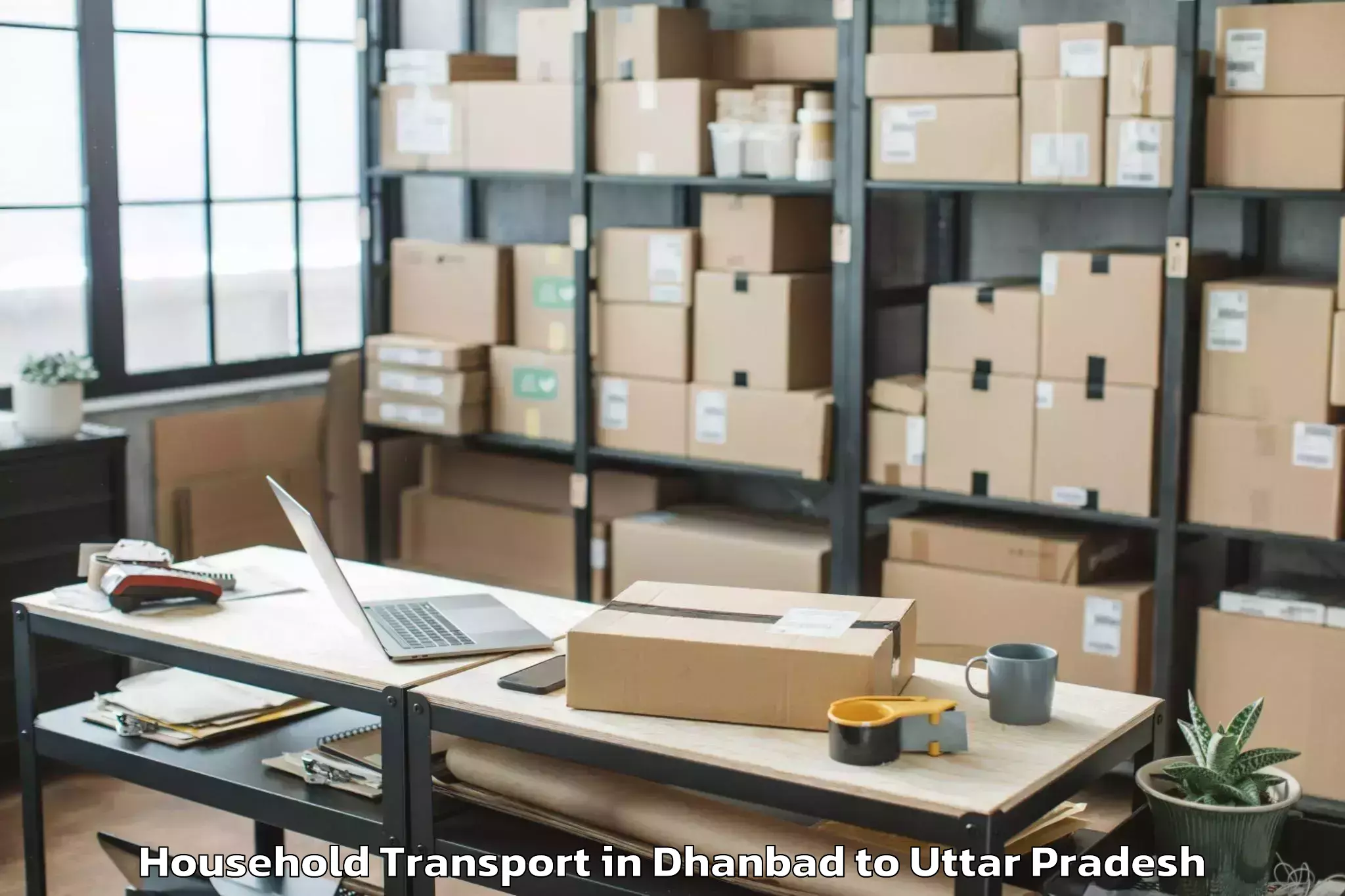 Easy Dhanbad to Ambuj Nagar Household Transport Booking